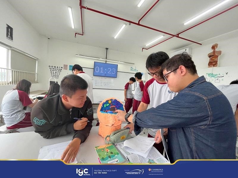 hoạt động ngoại khóa IGC Tây Ninh vô cùng đa dạng